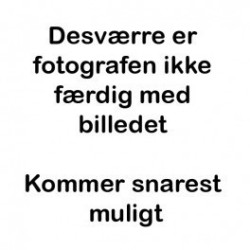 4 polet motor til Shoprider minibil