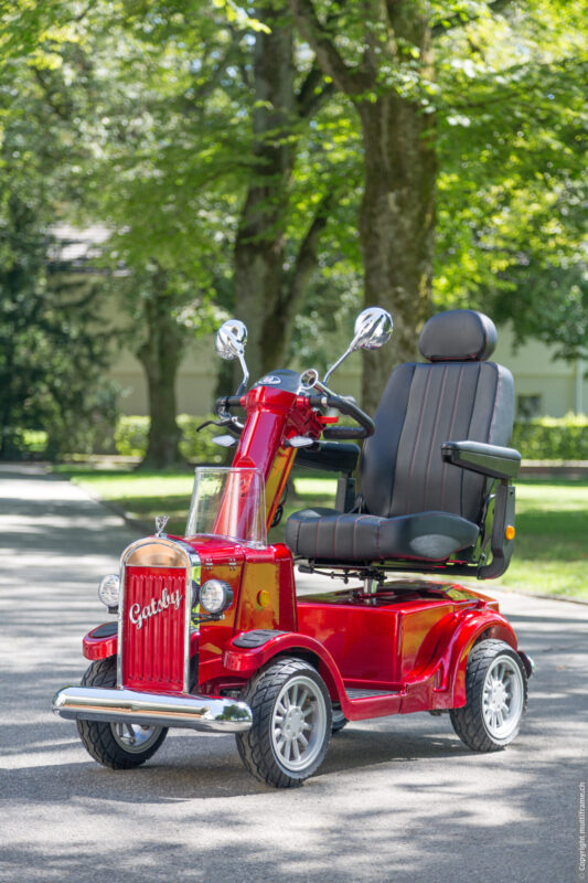 GO EL 840 EL Scooter